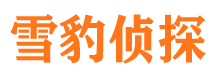 杜尔伯特找人公司